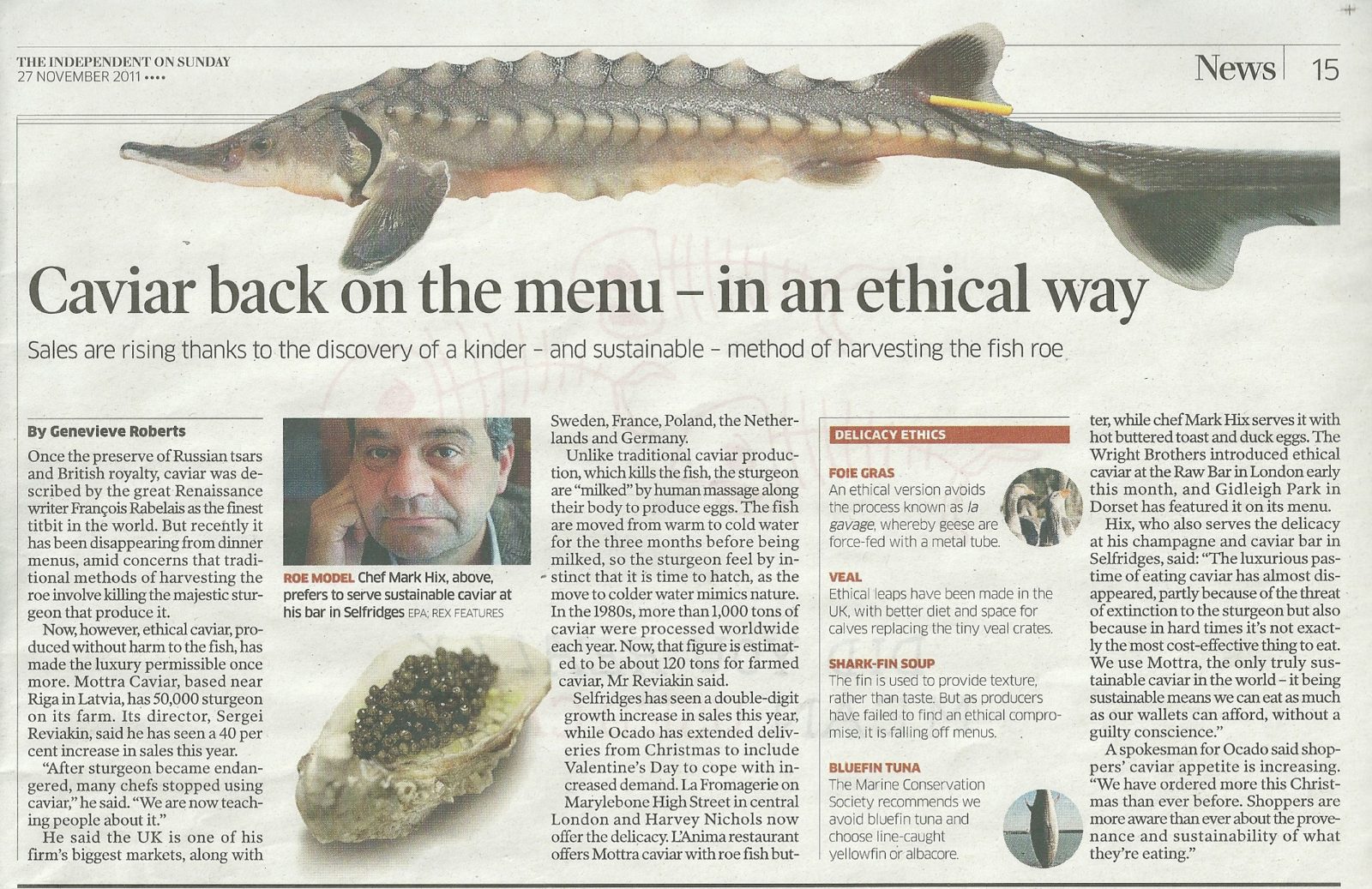 Ethical Mottra Praised in the Independent